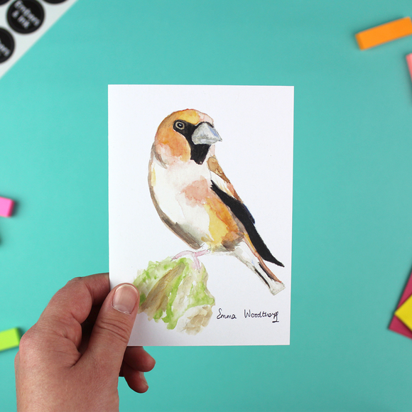 Hawfinch Greetings Card