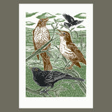 Blackbirds and Thrushes linocut poster-print