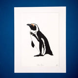 African Penguin Screen Print