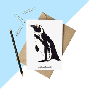 African Penguin Greetings Card