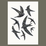 Swifts A3 linocut poster-print